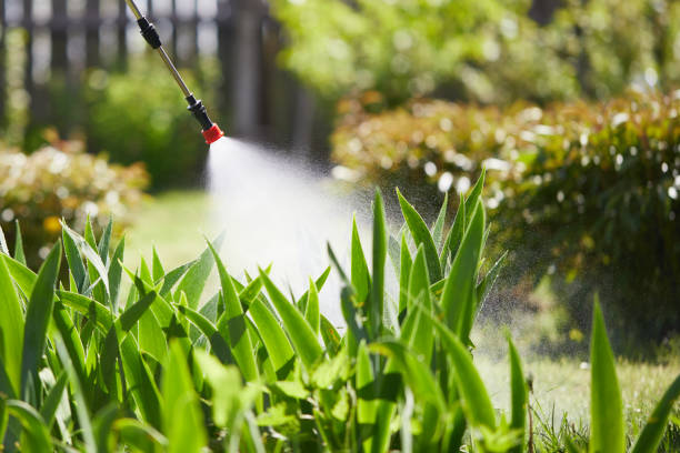 Tamper-Resistant Bait Stations for Rodents in North Plains