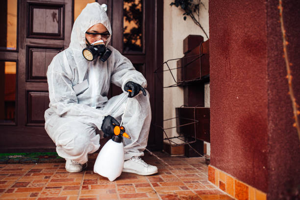 Attic and Crawl Space Rodent Treatment in North Plains